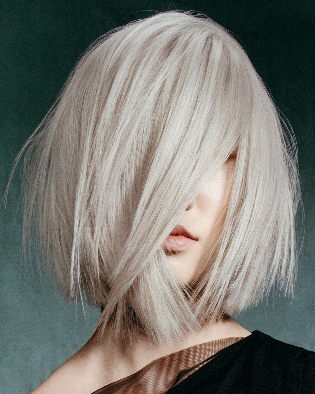 Professional Haircut in Kenner