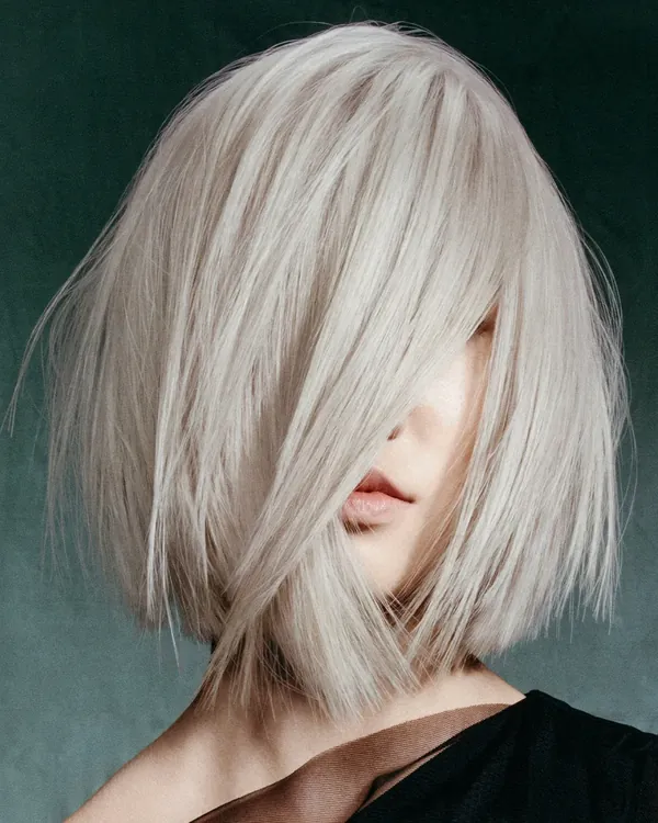 Professional Haircut in Kenner